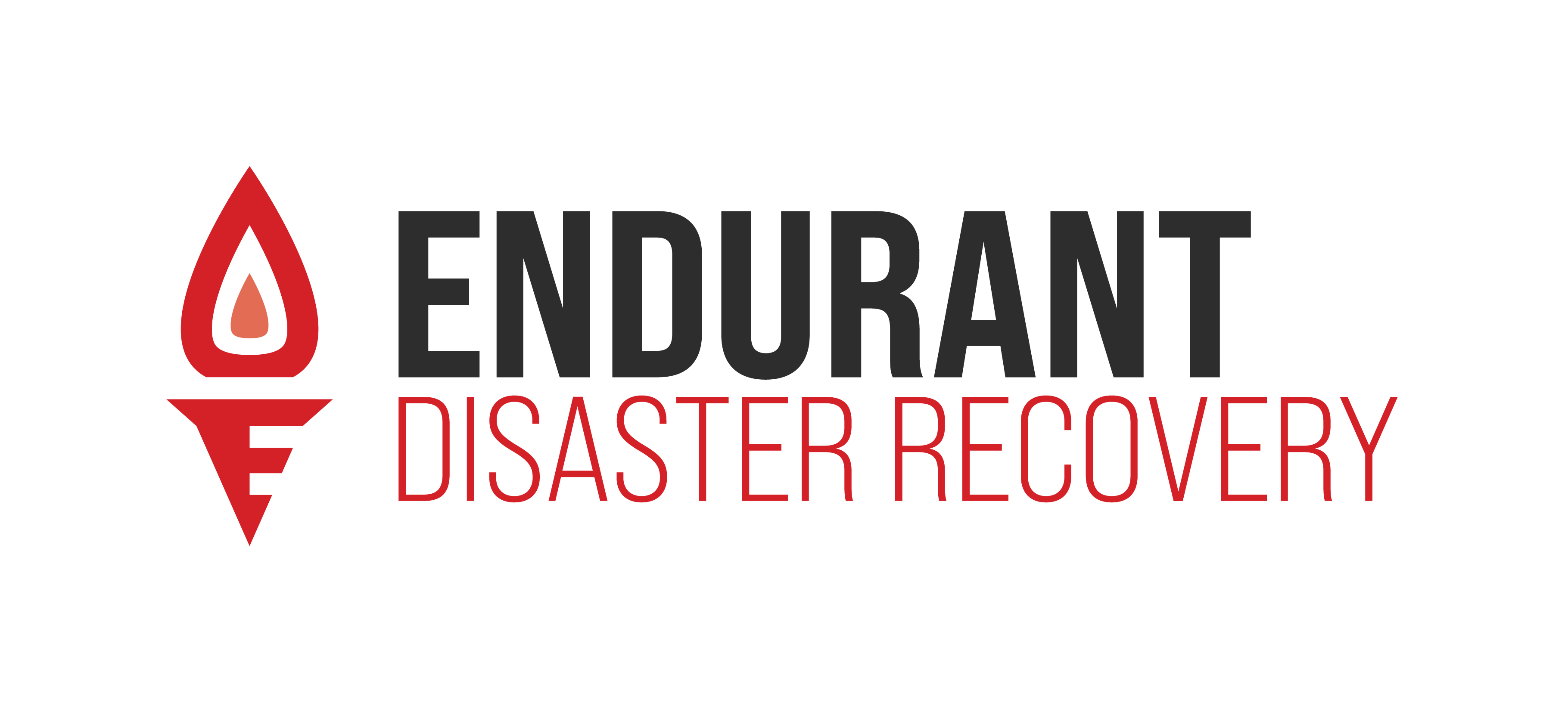 Endurant Disaster Recovery